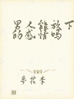 男人能放下七年的感情吗