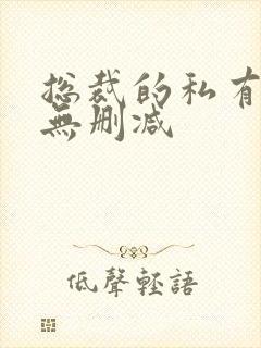 总裁的私有宝贝无删减封面