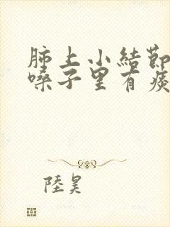 肺上小结节经常嗓子里有痰怎么回事