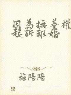 因为抚养权问题起诉离婚