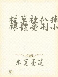 校草被扒掉裤子裸体受刑小说