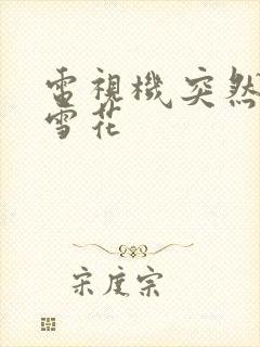 电视机突然全屏雪花