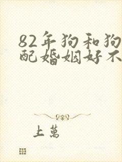 82年狗和狗相配婚姻好不好