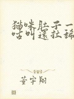 猫咪肚子一直咕咕叫还拉稀