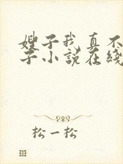 嫂子我真不是傻子小说在线阅读封面