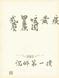 感冒咳黄痰是什么原因封面