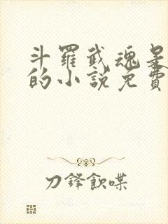 斗罗武魂是√8的小说免费阅读封面