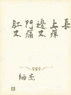 肛门边上长疙瘩又痛又痒