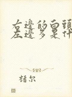 右边的白头发比左边多是什么原因封面