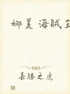 娜美 海贼王封面