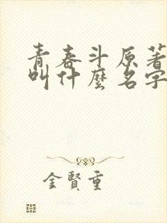 青春斗原著小说叫什么名字