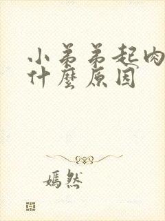 小弟弟起肉粒是什么原因