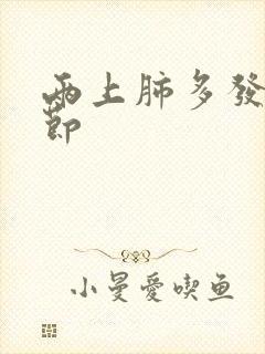 两上肺多发微结节