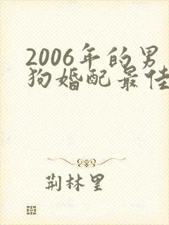 2006年的男狗婚配最佳属相封面
