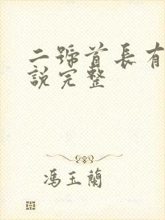 二号首长有声小说完整