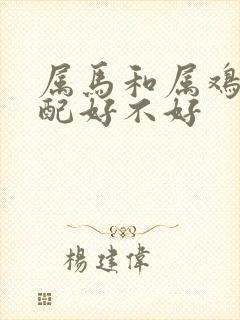 属马和属鸡的婚配好不好