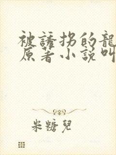 被诱拐的龙小说原著小说叫什么名字