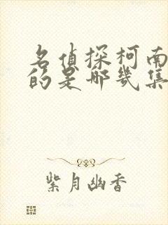 名侦探柯南恐怖的是哪几集封面