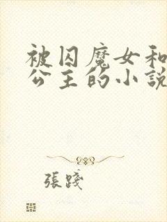 被囚魔女和自负公主的小说