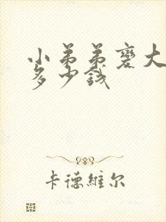 小弟弟变大手术多少钱