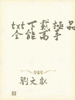 txt下载极品全能高手