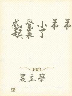 感觉小弟弟硬不起来了封面