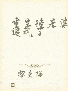 重生后老婆主动追我了