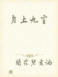 月上九霄封面