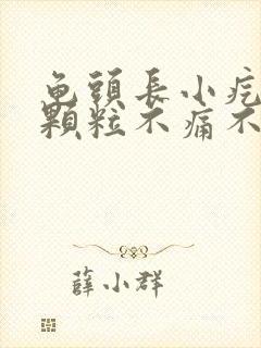 龟头长小疙瘩小颗粒不痛不痒