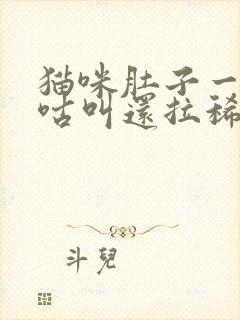 猫咪肚子一直咕咕叫还拉稀