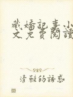 藏娇记事小说全文免费阅读