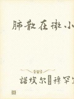 肺散在微小结节封面