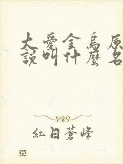 大爱金乌原著小说叫什么名字封面