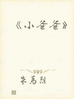 《小爸爸》续集封面