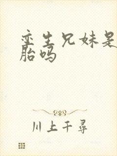 孪生兄妹是双胞胎吗封面