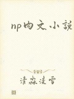 np肉文小说封面