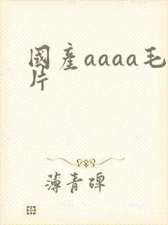 国产aaaa毛片