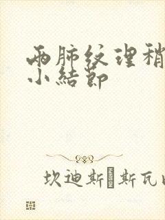 两肺纹理稍多微小结节封面