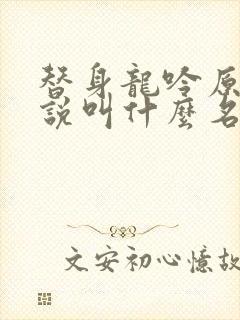 替身龙吟原著小说叫什么名字