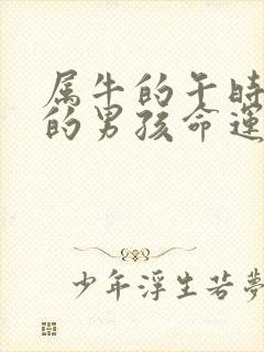 属牛的午时出生的男孩命运封面