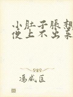 小肚子胀想上大便上不出来封面