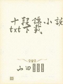 十段锦小说全本txt下载