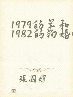 1979的羊和1982的狗婚配好吗