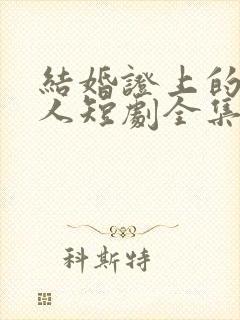 结婚证上的陌生人短剧全集免费