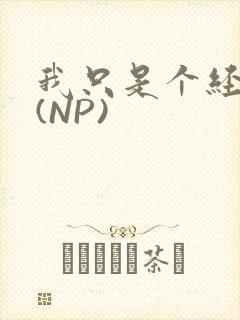 我只是个经纪人(NP)