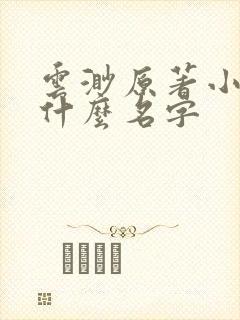 云渺原著小说叫什么名字