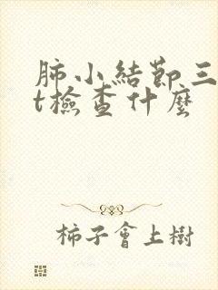 肺小结节三维ct检查什么