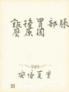 饭后胃部胀是什么原因封面