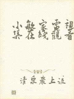 小敏家电视剧全集在线观看免费封面