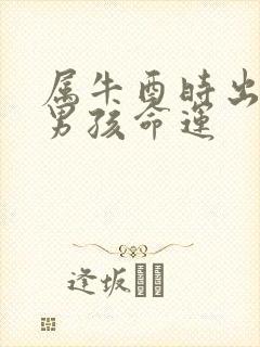 属牛酉时出生的男孩命运